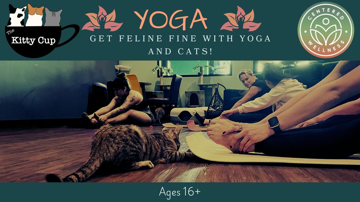 Get Feline Fine with Yoga & Cats- Ages 16+