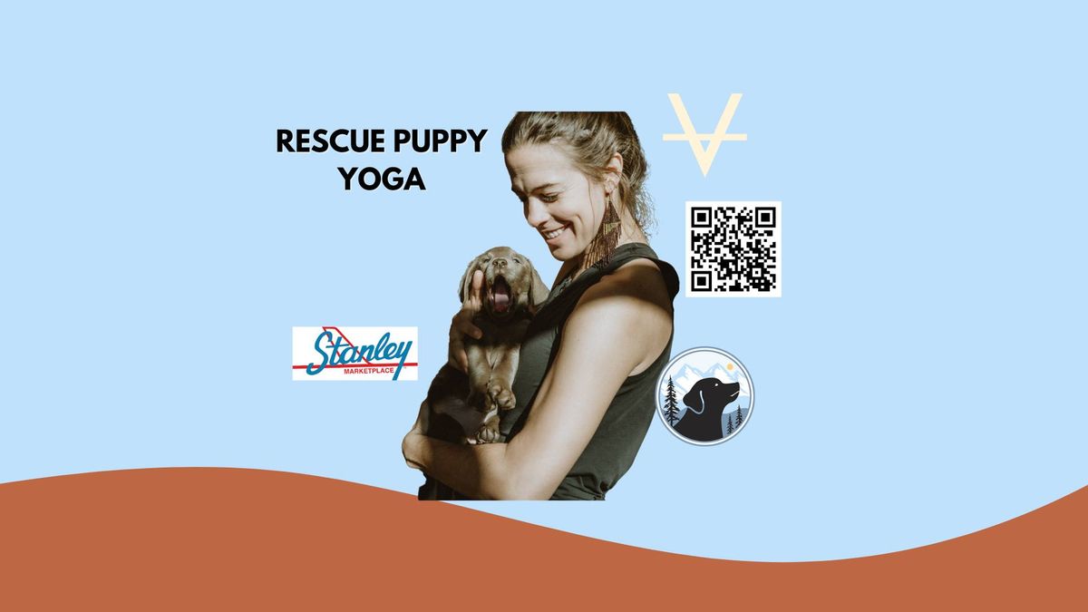 Rescue Puppy Yoga at Stanley Marketplace