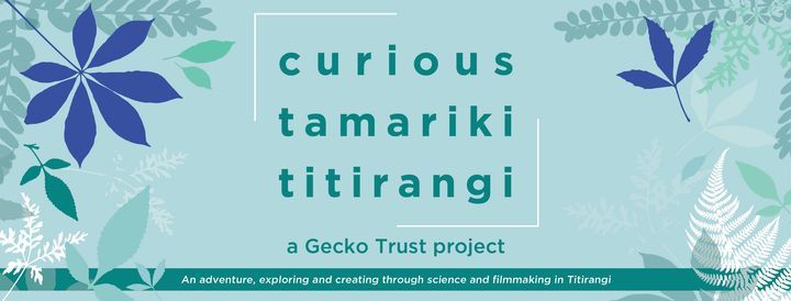 Curious Tamariki Titirangi