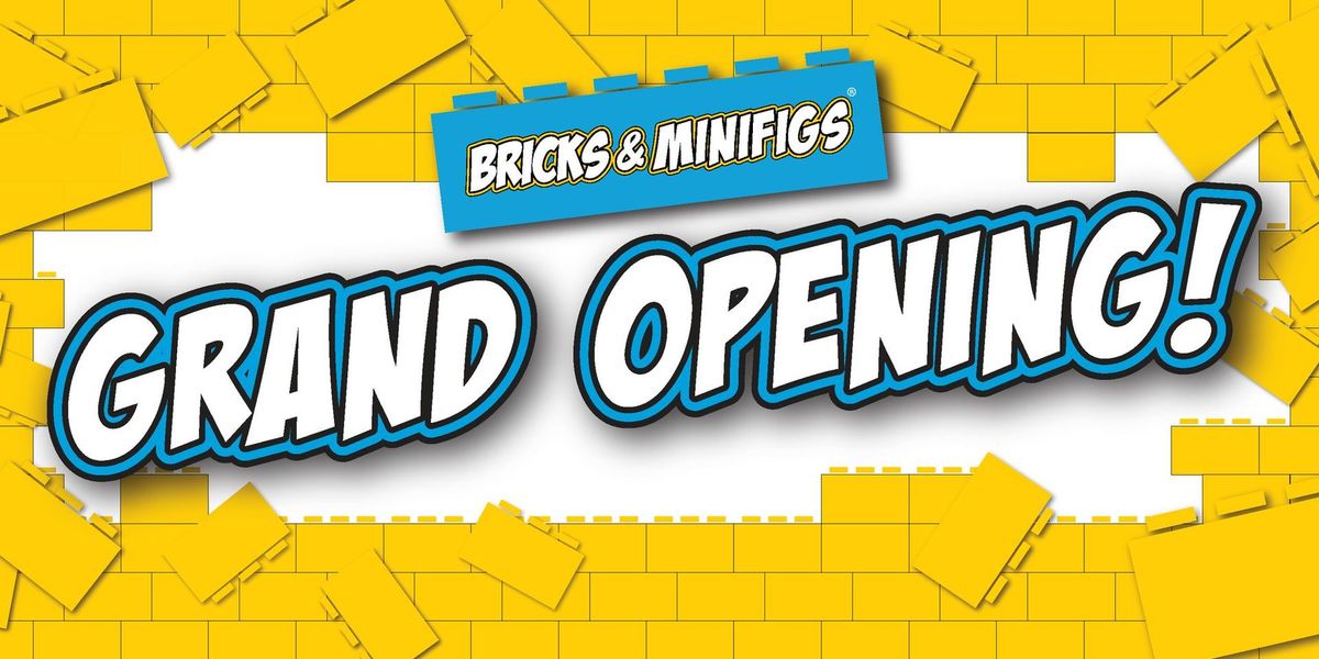 Bricks and Minifigs Algonquin Grand Opening.