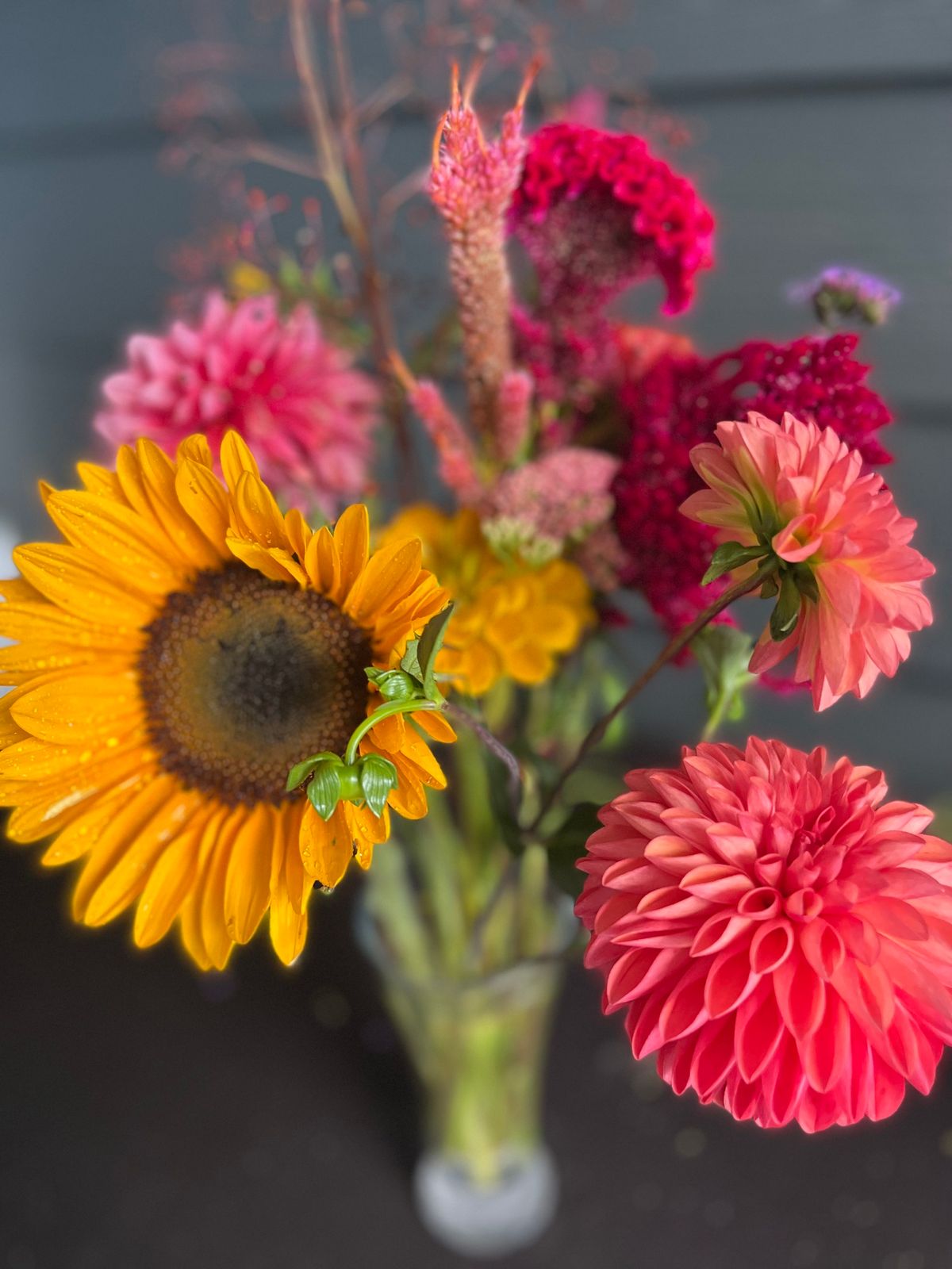 End of season U-pick flowers September 28