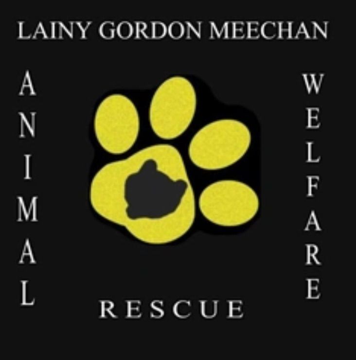 Lainy\u2019s Rescue Fun Dog Show