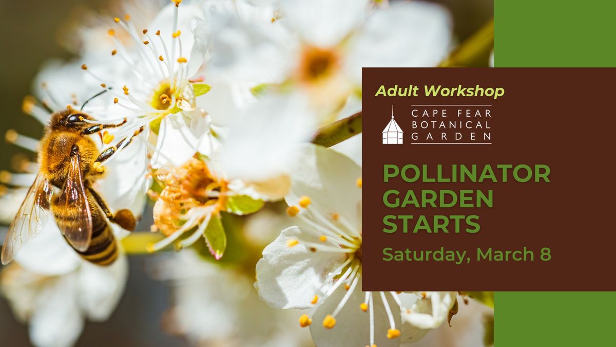 Pollinator Garden Workshop at Cape Fear Botanical Garden