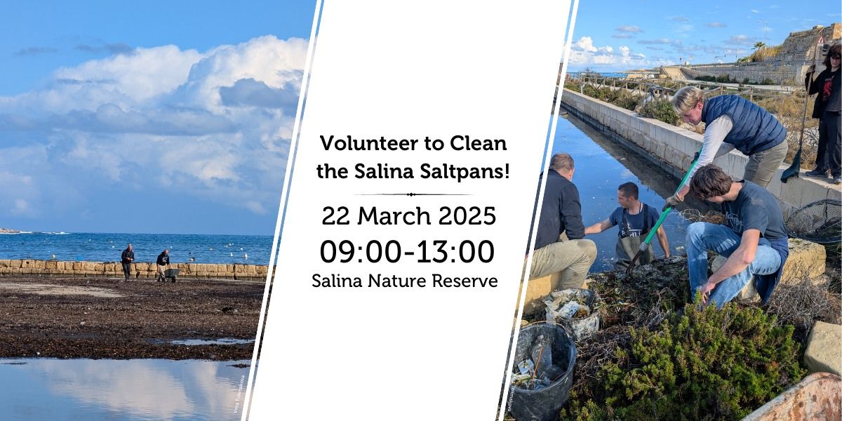 Volunteer to Clean the Salina Saltpans!  