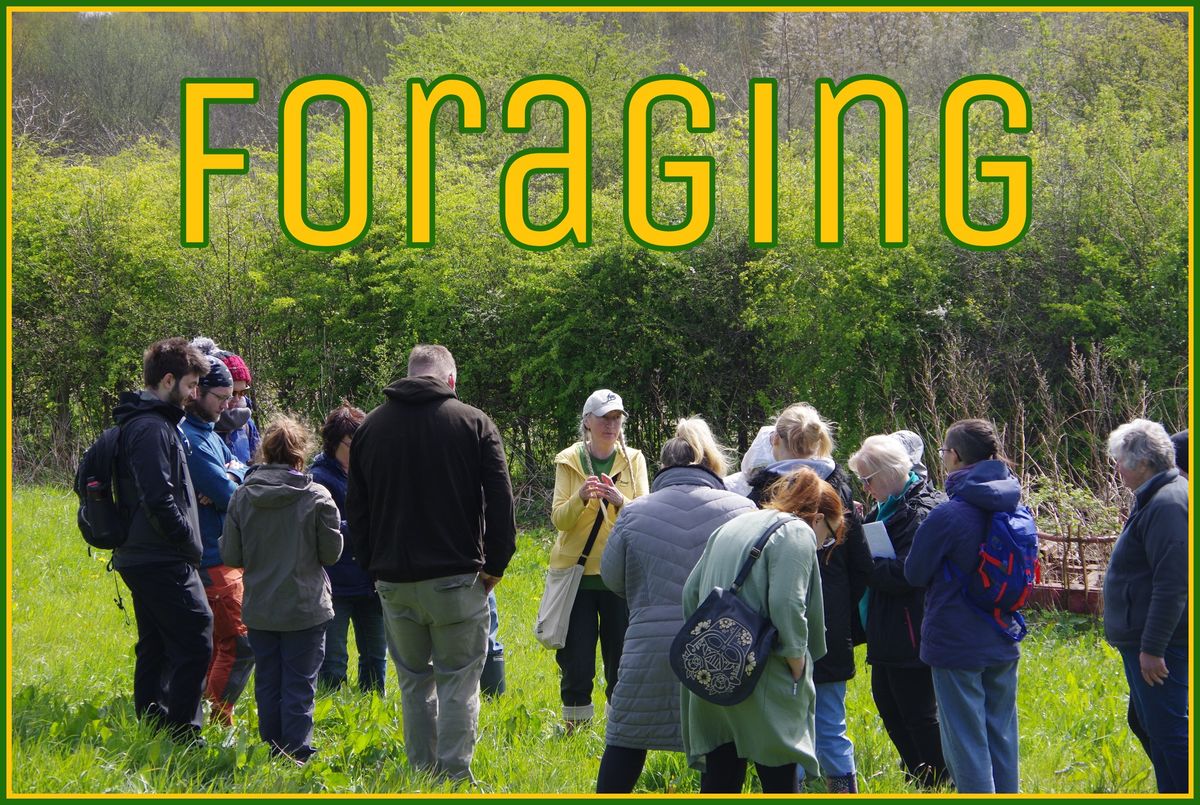 Guided Foraging Walk