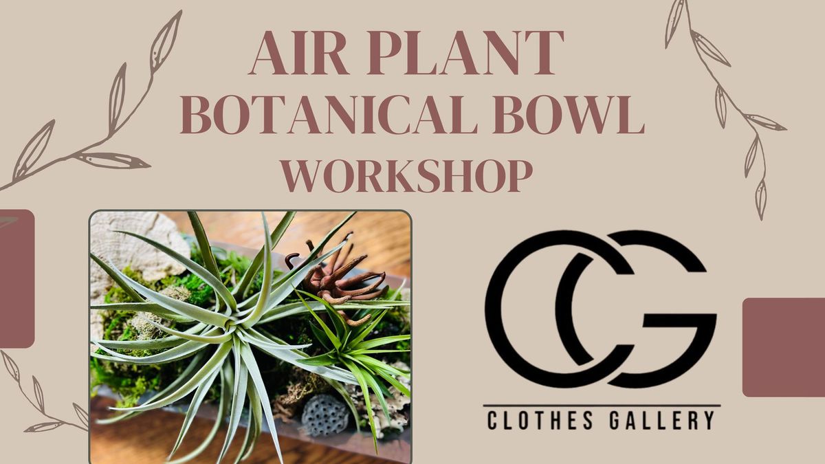 Airplant Botanical Bowl Workshop