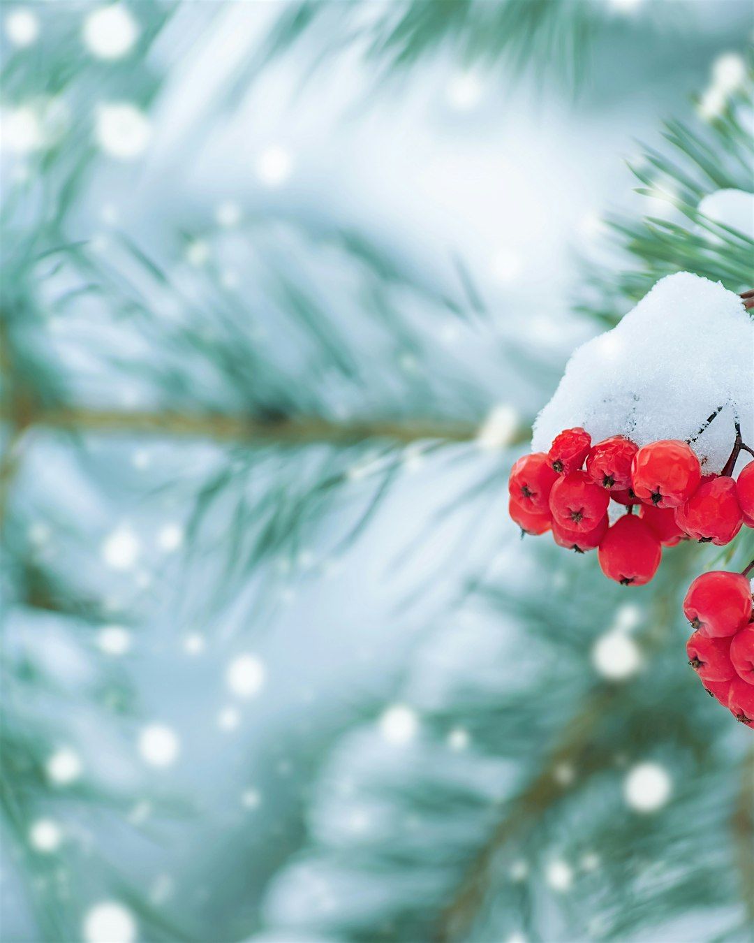 Cirencester Chamber of Commerce Winter Social