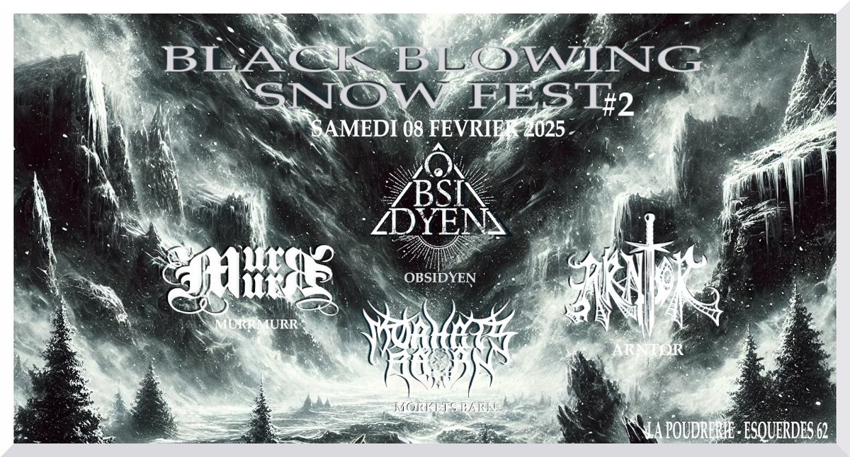 BLACK BLOWING SNOW FEST #2