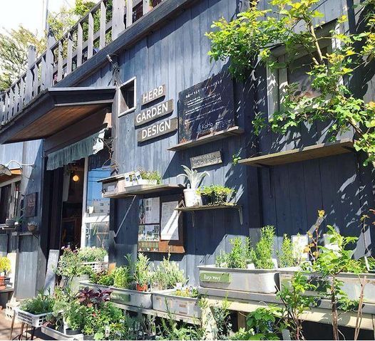 22 2 5 Koho Herb Garden 春に向けハーブを育てる 多年草のキッチンハーブたち と緑の相談室 ツォモリリ文庫 Shibuya City 5 February 22 22 2 5 Koho Herb Garden 春に向けハーブを育てる 多年草のキッチンハーブたち と緑の相談室 ツォモリリ文庫 Shibuya City 5 February 22