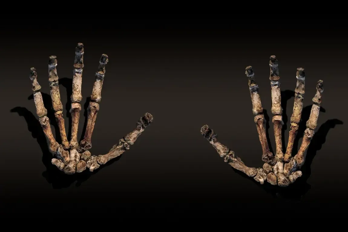 National Geographic Live: Cave of Bones - Lee Berger