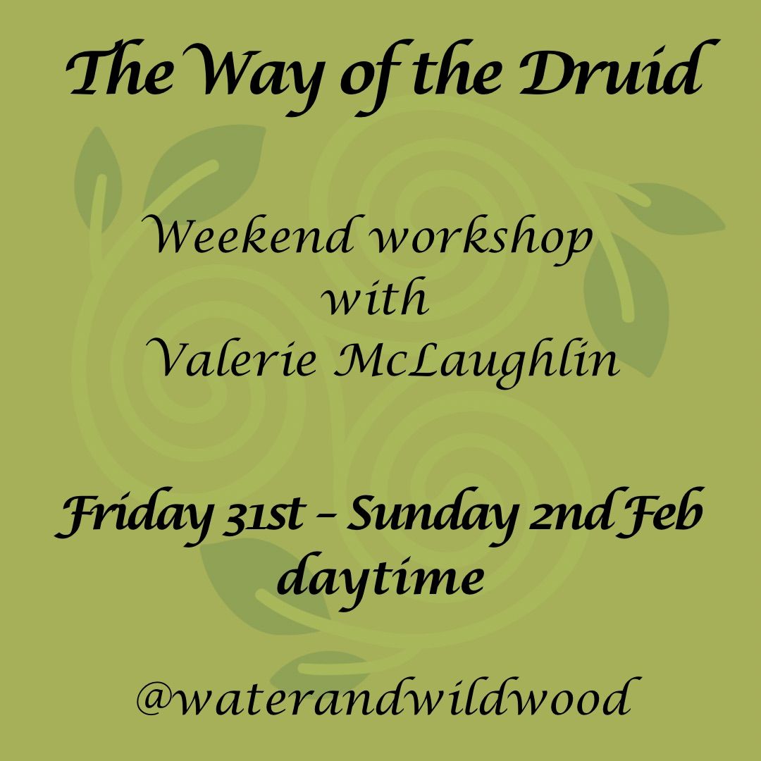 The Way of the Druid: A Journey into Celtic Spirituality