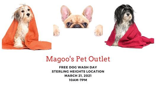 Magoo's Pet Outlet Sterling Heights Free Dog Wash Magoos Pet Outlet Sterling Heights 21 March 2021