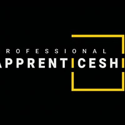 Professional Apprenticeships