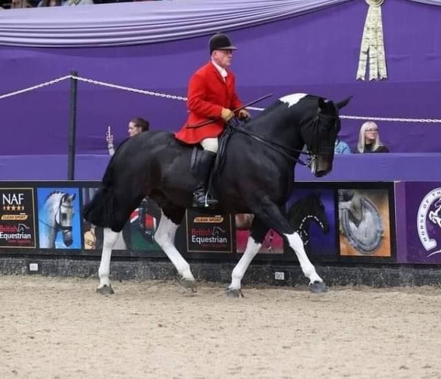 Flatwork and Arena Eventing Clinic with Andrew Collins and Jo Freer