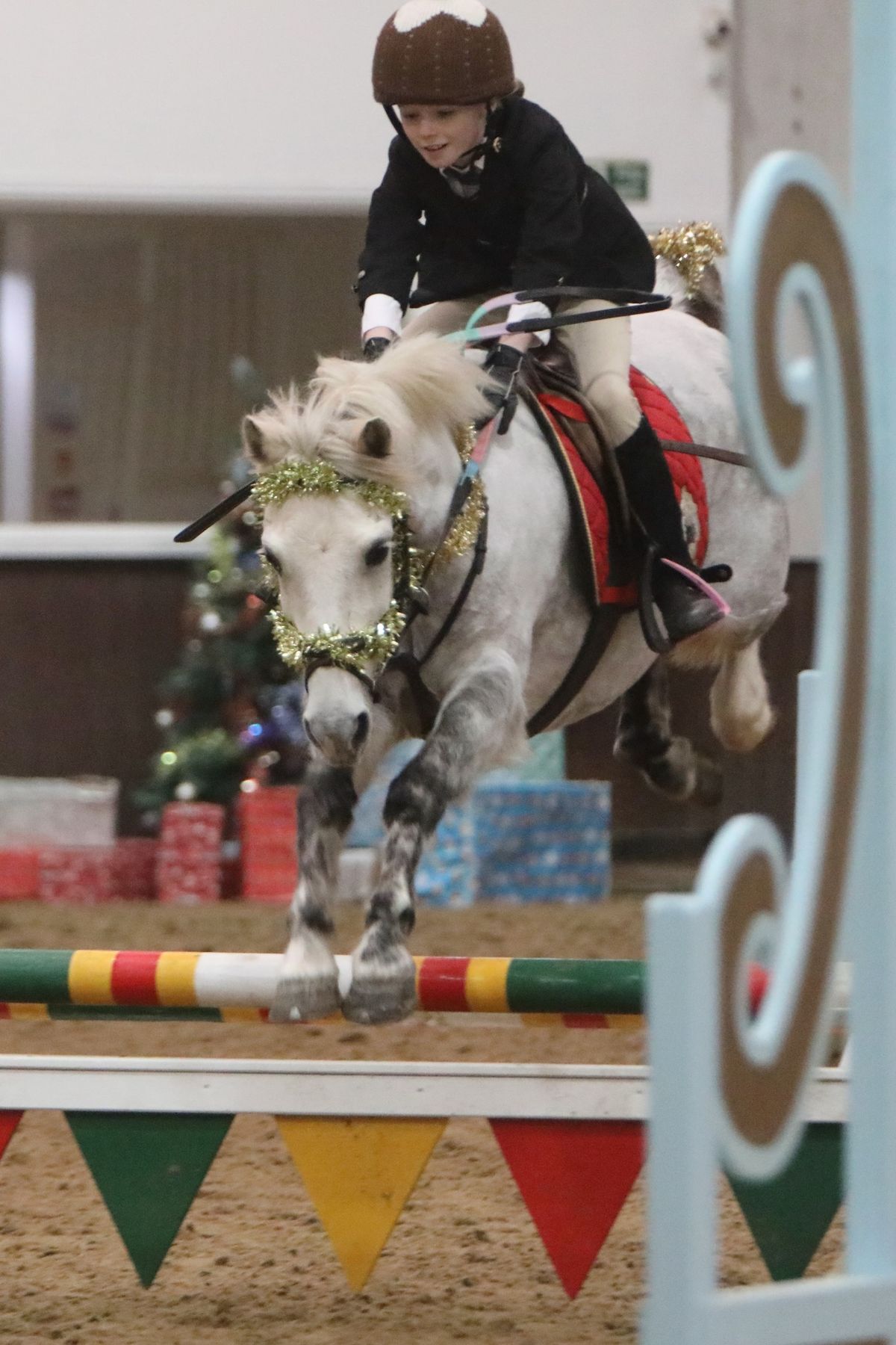 Festive Show Jumping