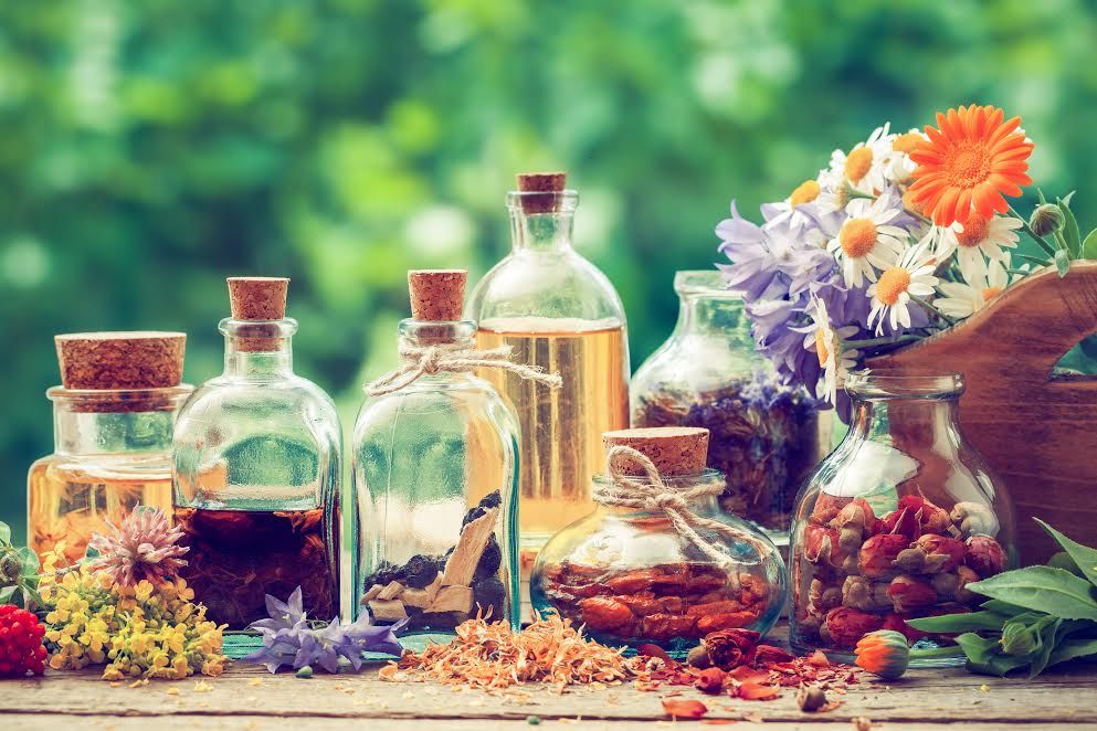 Herbal Remedies at Home: An Interactive Session