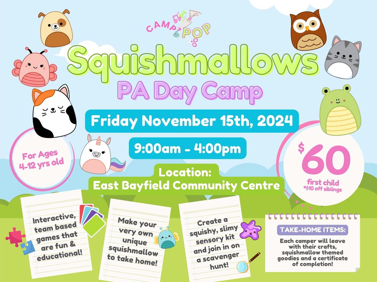 Squishmallows PA Day Camp