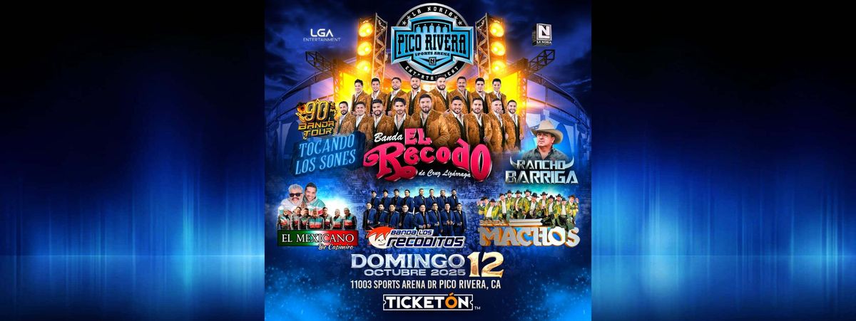 BANDA EL RECODO, BANDA LOS RECODITOS & M\u00c1S