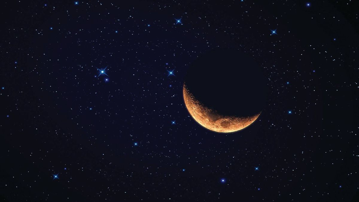 Night Skies at Lauritzen Gardens: Waning Gibbous Moon