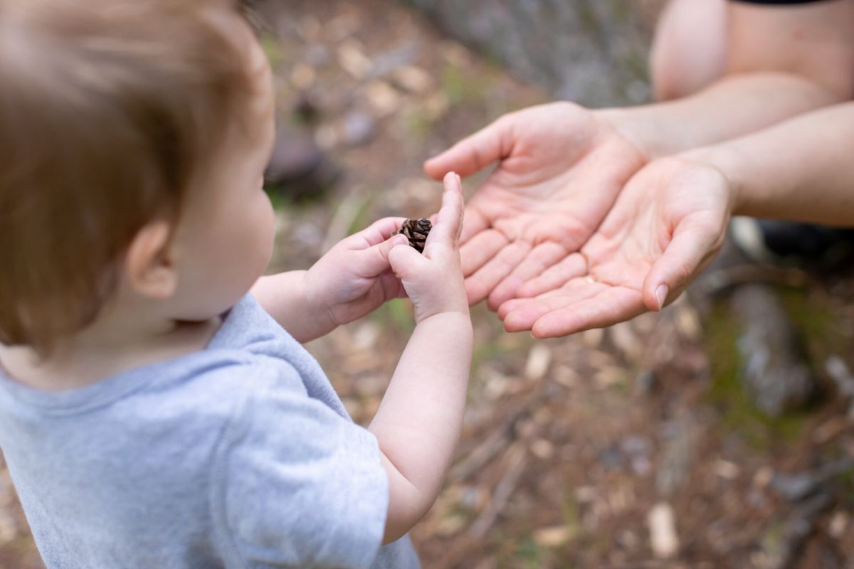 First Child in the Woods