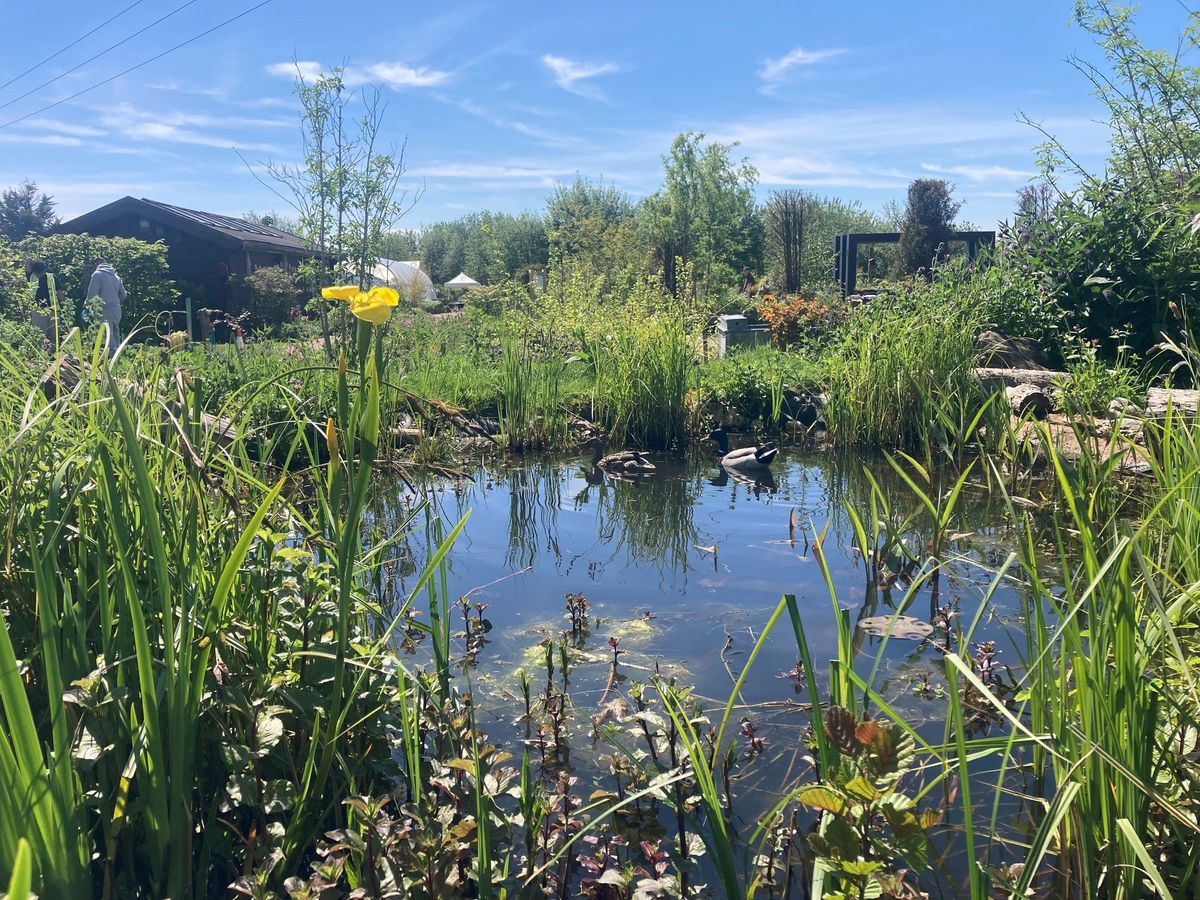 Rest & Refresh Pop Up Cafe & Pond Dipping