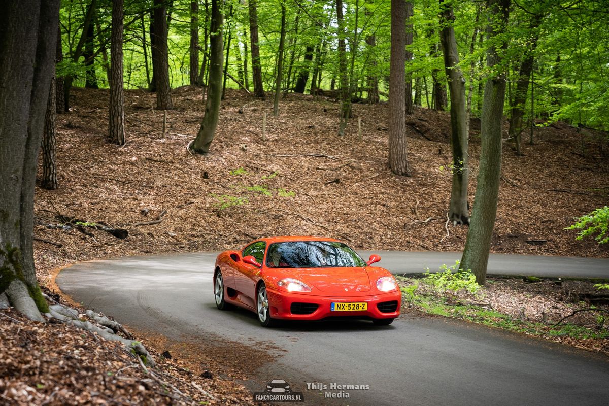 NEW YEARS DRIVE (VELUWE) EDITIE