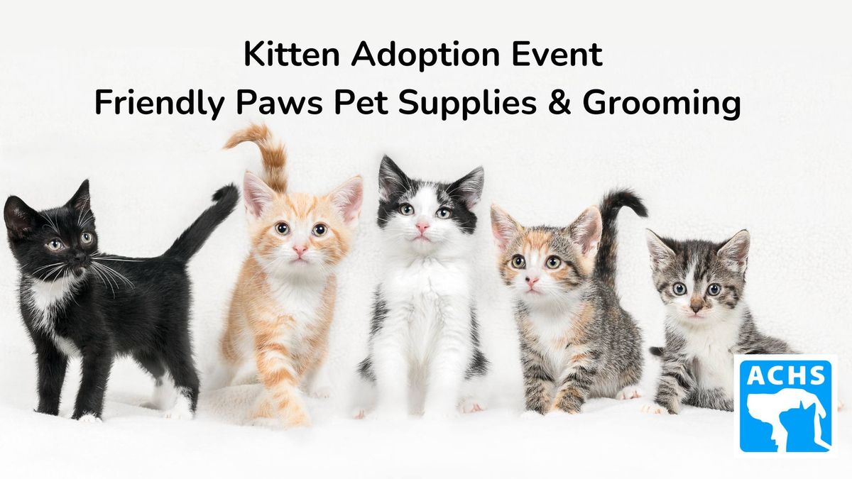Kitten Adoption Event 