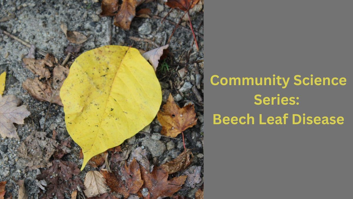 Community Science Series: Beech Leaf Disease