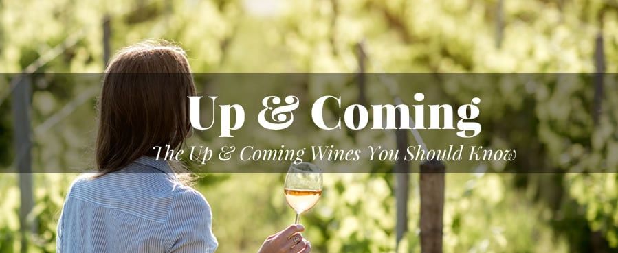 Up & Coming Wine Regions