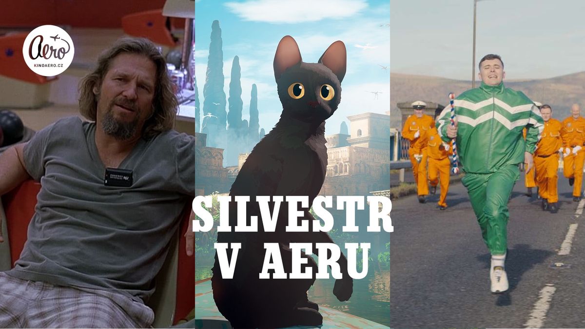 Silvestr v Aeru