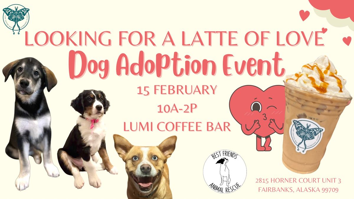 Looking for a Latte of Love Adoption Event