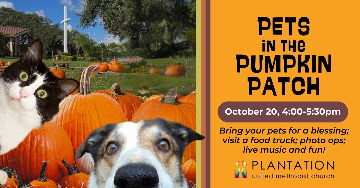 Pets in the Pumpkin Patch