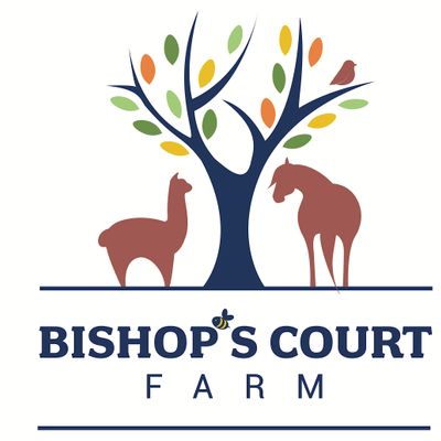 Bishop's Court Farm and Hampstead Jazz Club