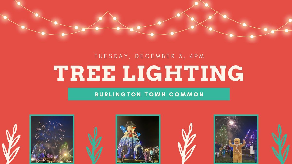 Tree Lighting