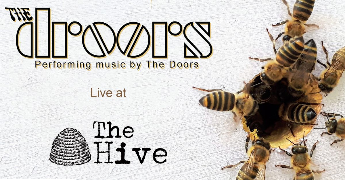 The Droors Live at The Hive in Fond du Lac, WI