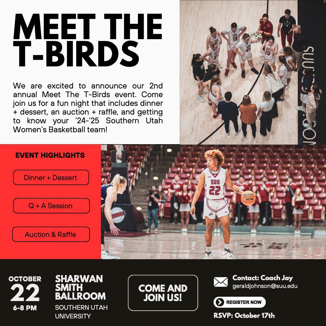 Meet The T-Birds