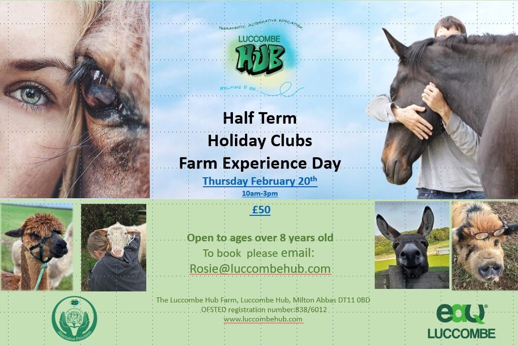 Half Term Holiday Club - Farm Experience day