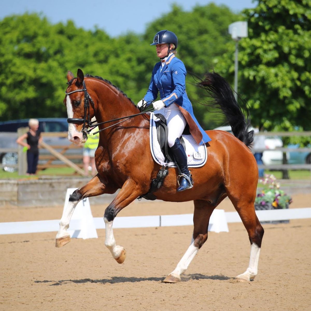 Dressage Clinic at Stanners Farm 