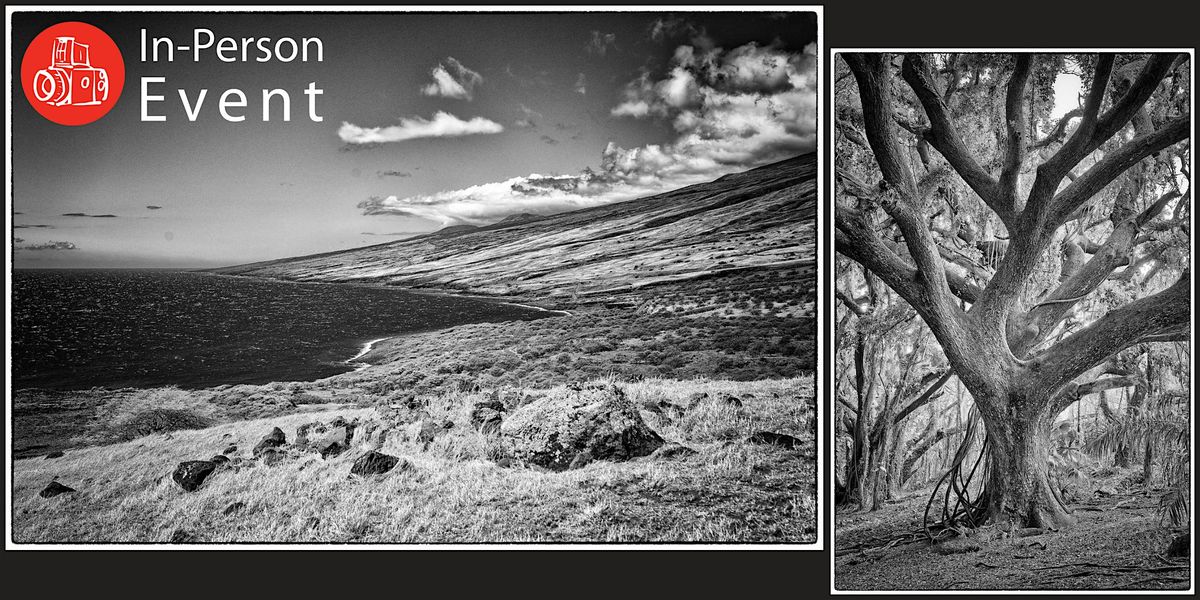 Maui: Portfolio Reveal \u2013 The Landscape Observed by Steve Speer