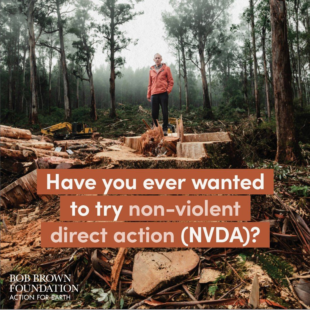 Introduction to NVDA (Non-Violent Direct Action)