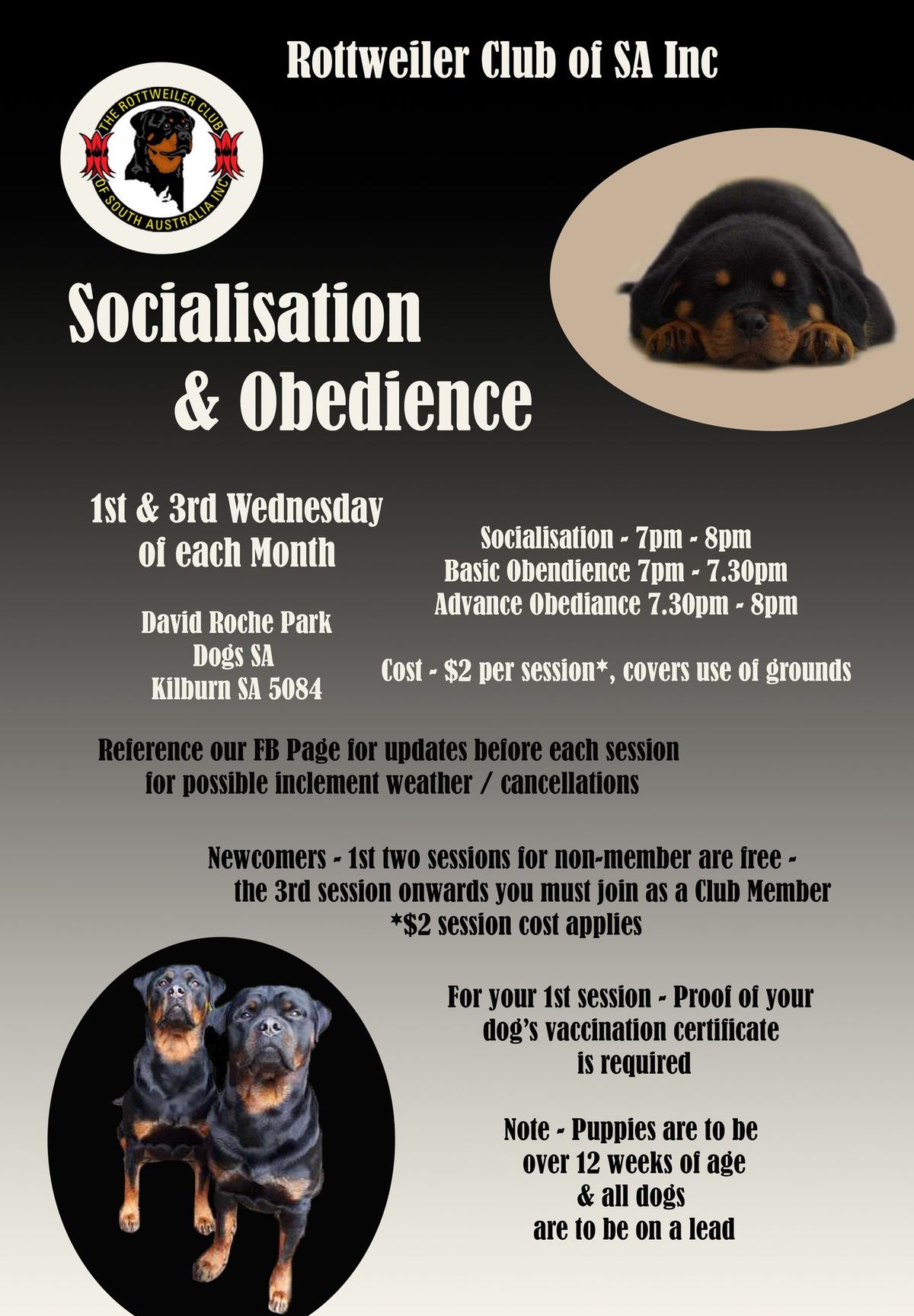 RCSA Socialisation & Obedience