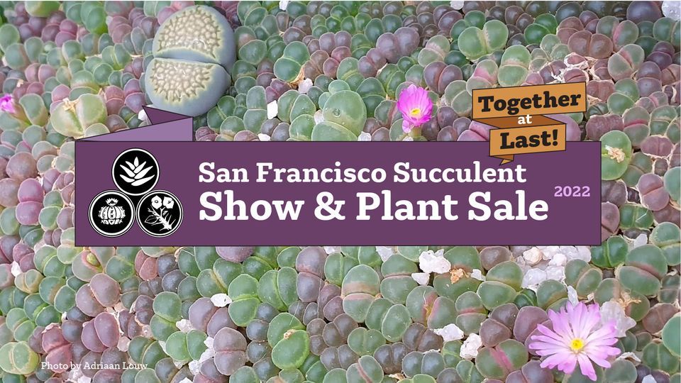 San Francisco Succulent Show & Plant Sale 2022