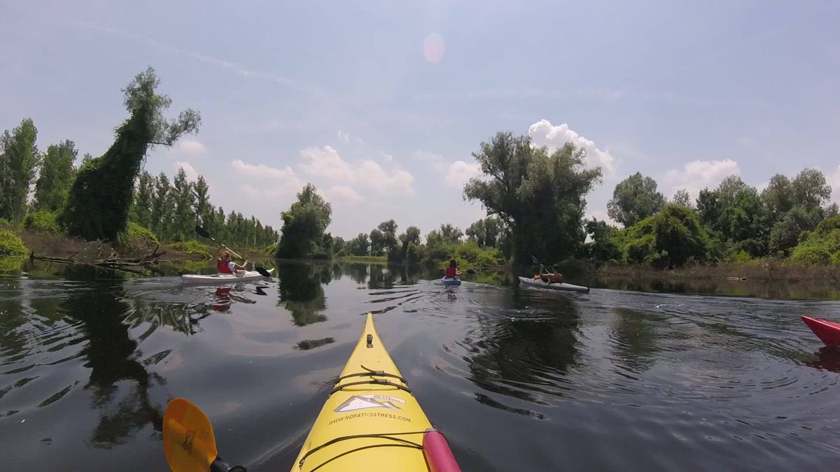 Kayaking on Danube, Novi Sad - Belgrade 