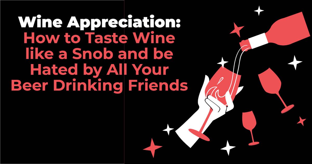 Wine Appreciation: How to Taste Wine Like a Snob and be Hated by All Your Beer Drinking Friends 