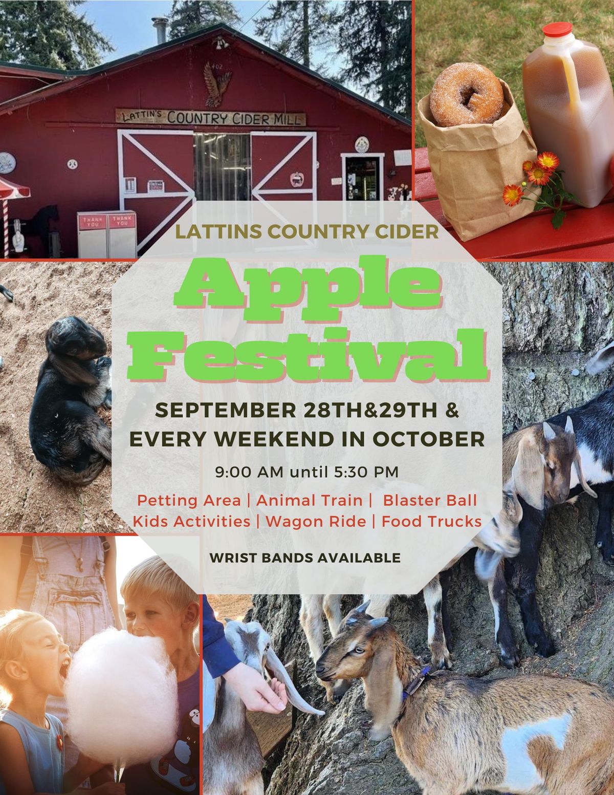 Lattin's Country Cider Apple Festival