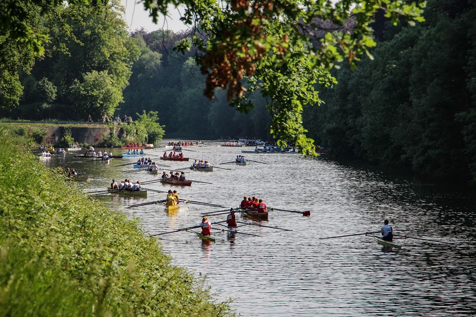 RSM Saurus International Regatta 2023