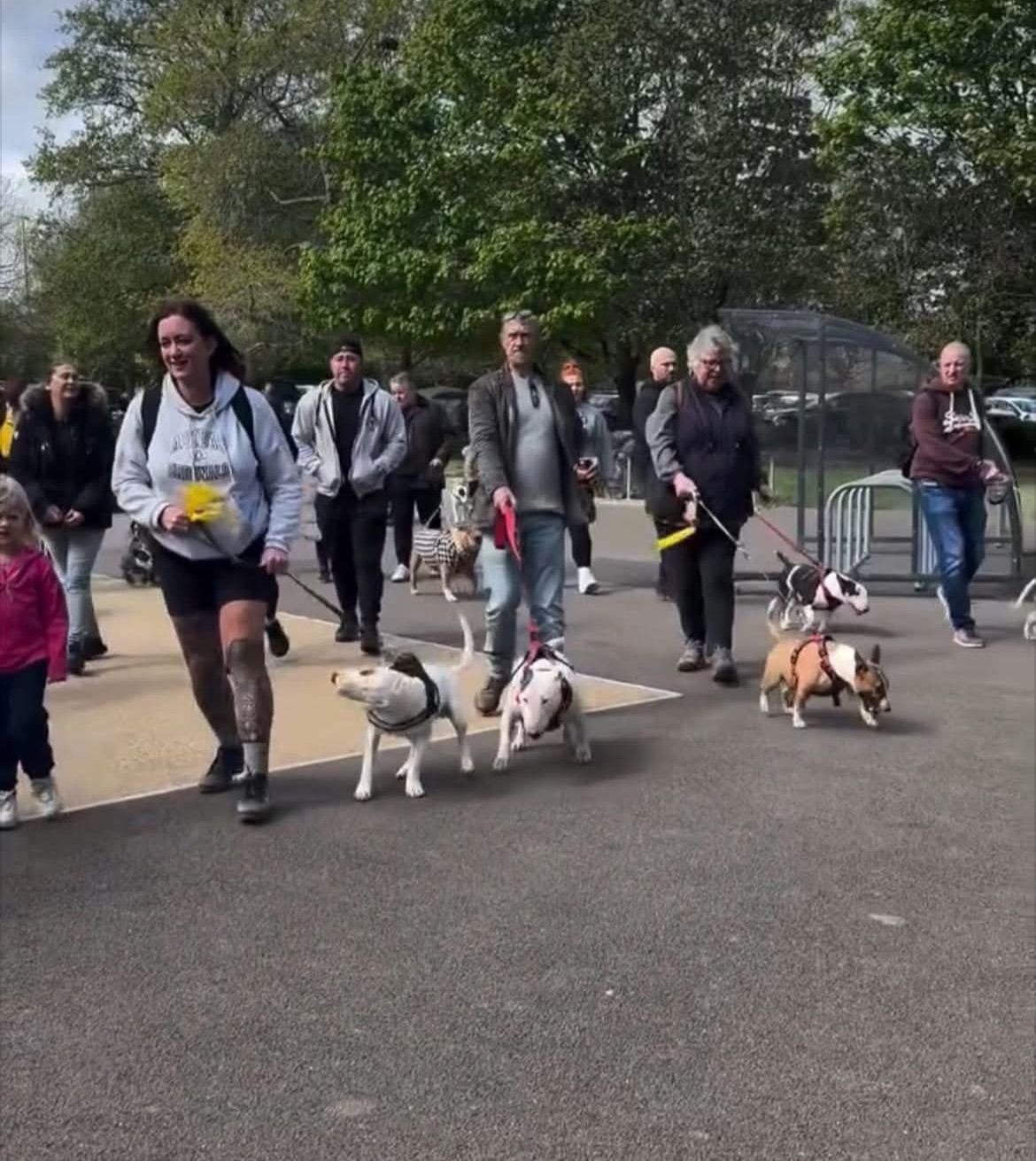 Mote park Maidstone Bullie walk , Sunday 9th March , meet at 11am