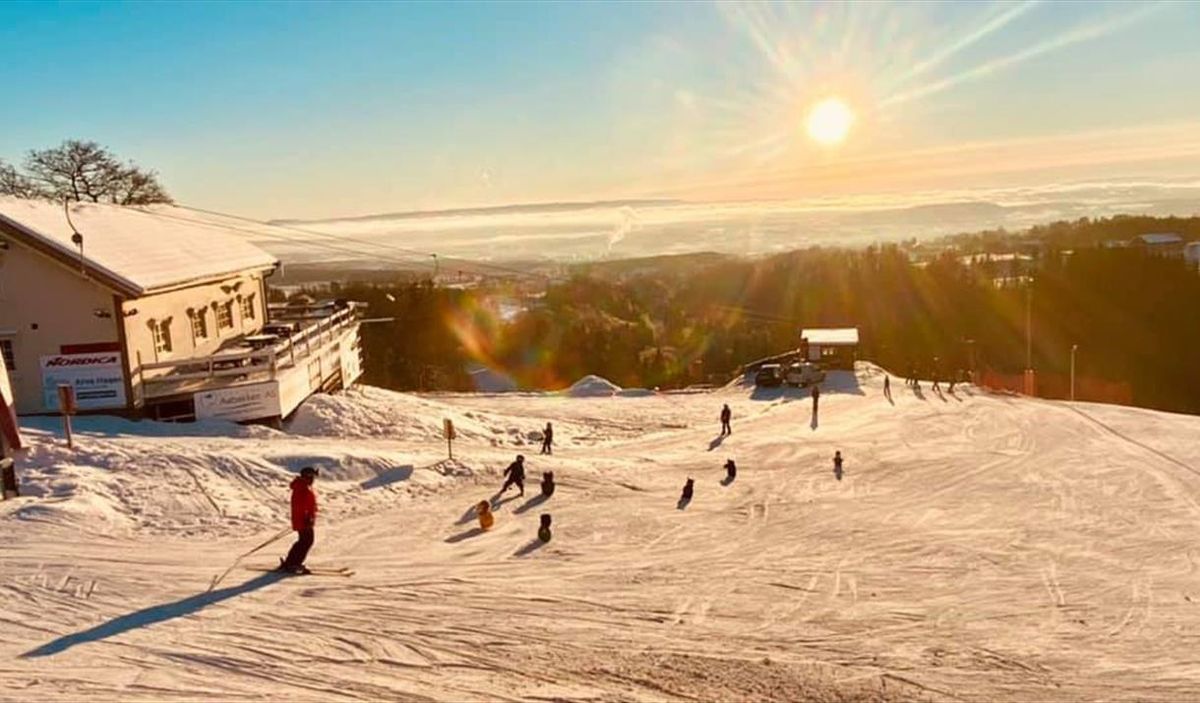 SKIDAG I LIERBERGET