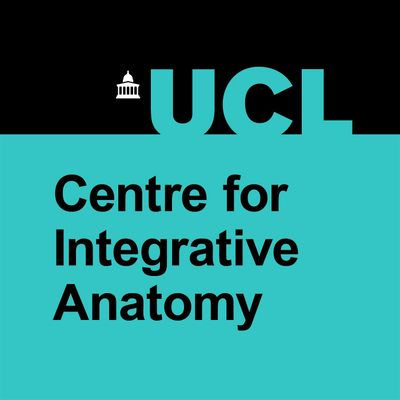 UCL Centre for Integrative Anatomy