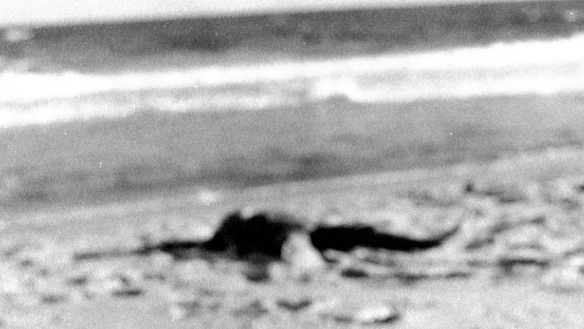 Nando Reis, Paula Toller in S\u00e3o Paulo